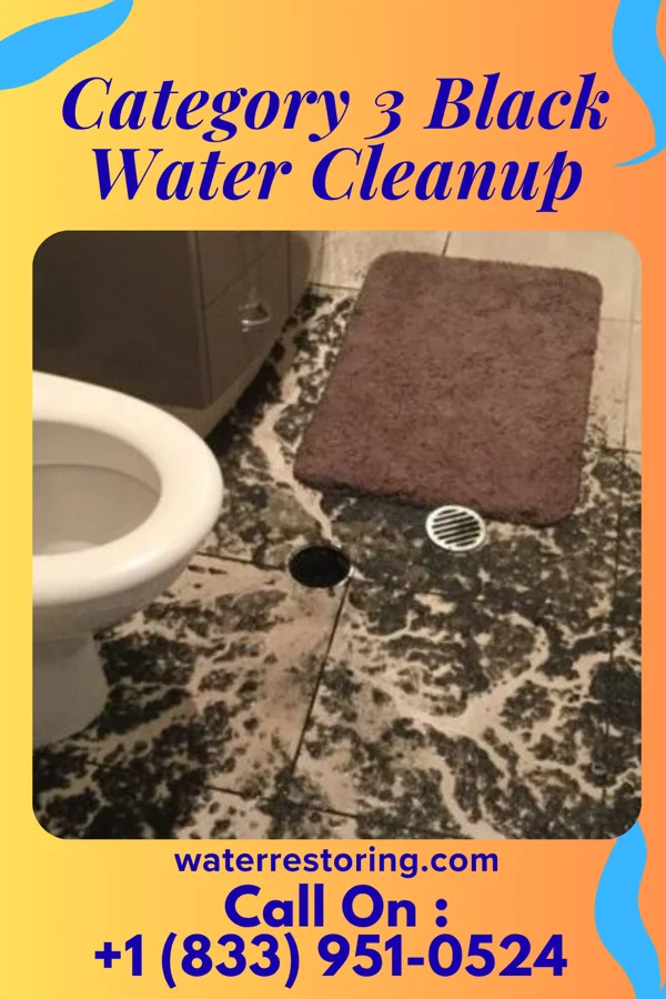 Category 3 Black Water Cleanup in Athens, MI