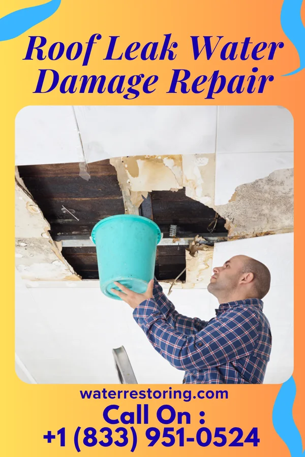 Roof Leak Water Damage Repair in Athens, MI